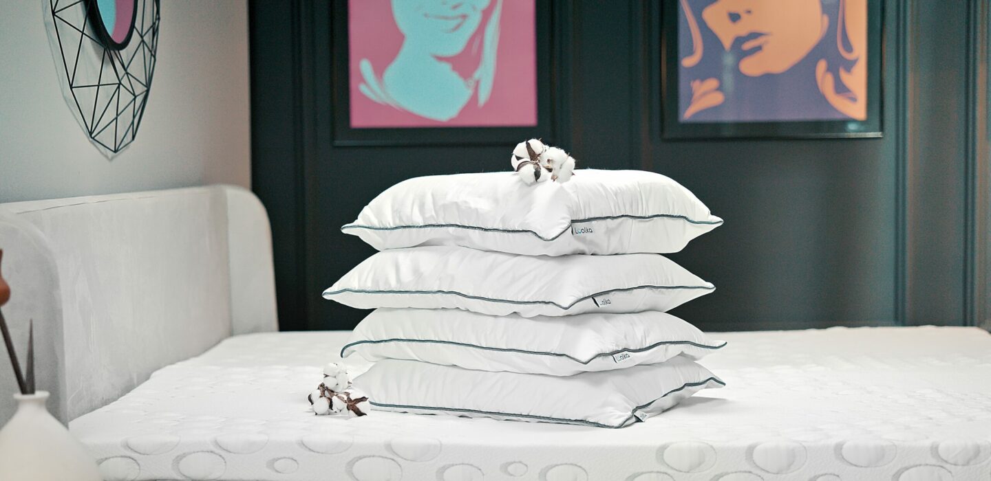 Untitled_1.31.1 Untitled_1.31.1